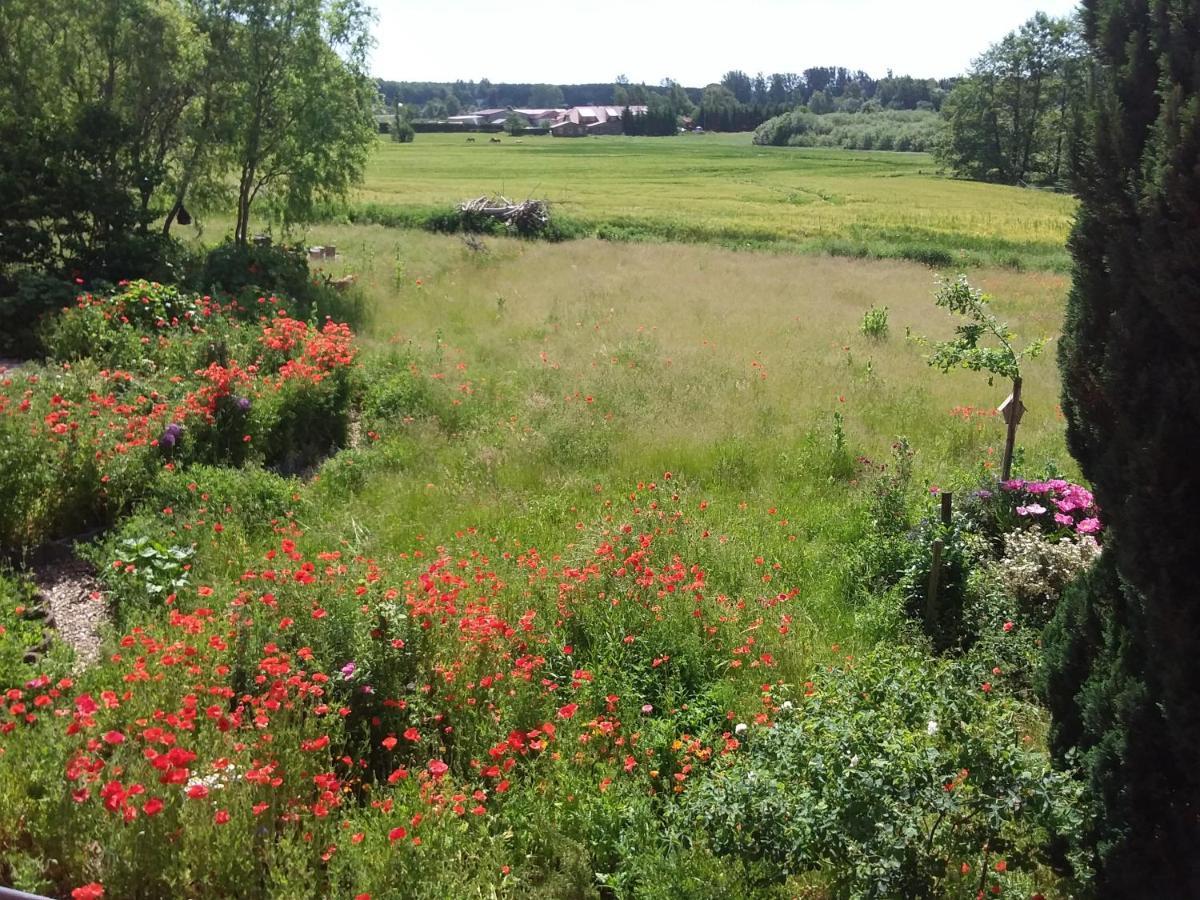 Haus Rosengarten- Ruhige Ferienwohnungen Im Gruenen Sehlen Extérieur photo