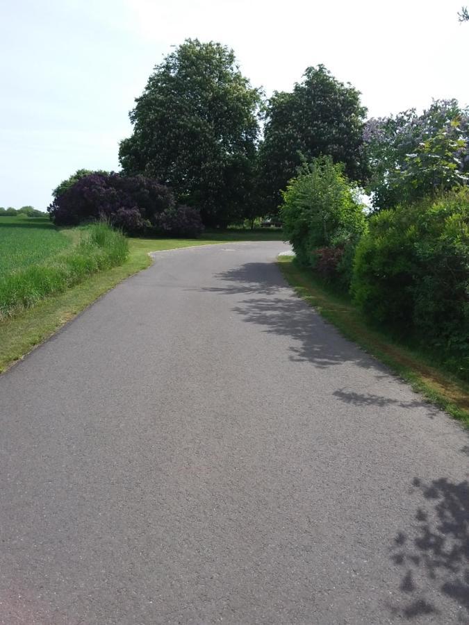 Haus Rosengarten- Ruhige Ferienwohnungen Im Gruenen Sehlen Extérieur photo