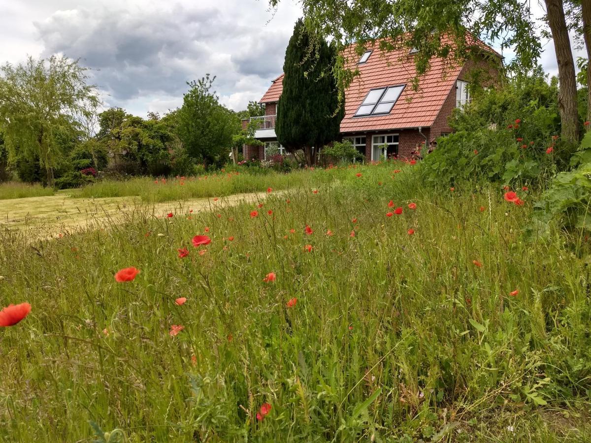 Haus Rosengarten- Ruhige Ferienwohnungen Im Gruenen Sehlen Extérieur photo